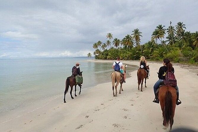 Horseback Riding on the Beaches of Punta Cana - Who This Punta Cana Beach Ride Suits Best