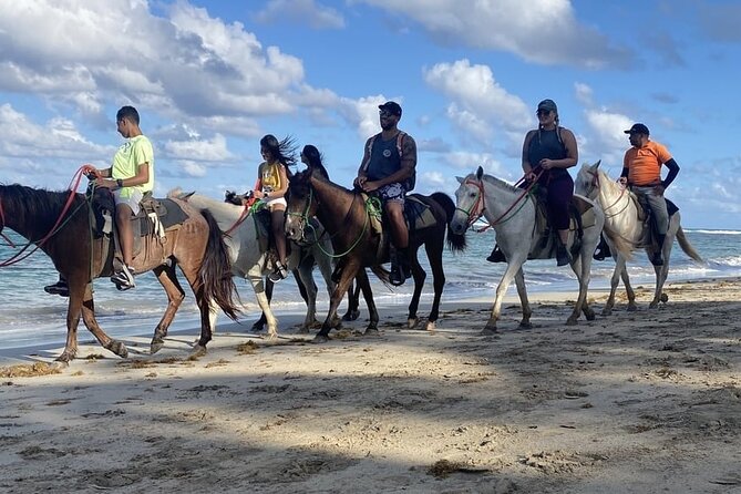 Horseback Riding on the Beaches of Punta Cana - Price and Value: Is $50 a Good Deal for an On-Beach Ride?