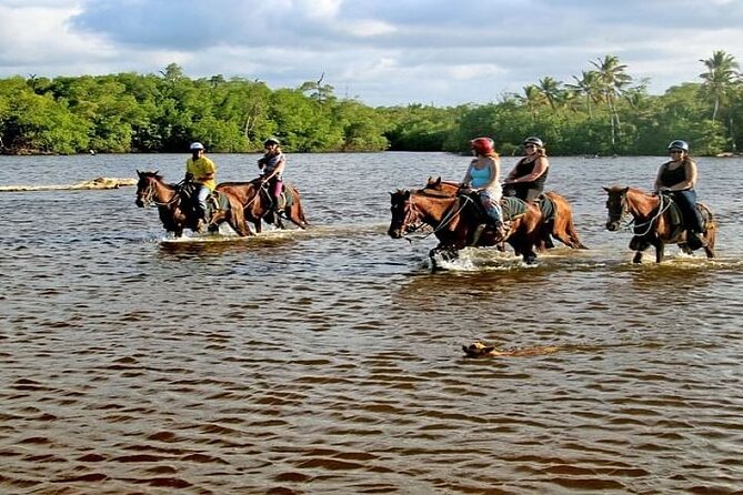 Horseback Riding to Maimon River from Punta Cana - Key Highlights You’ll Actually Care About