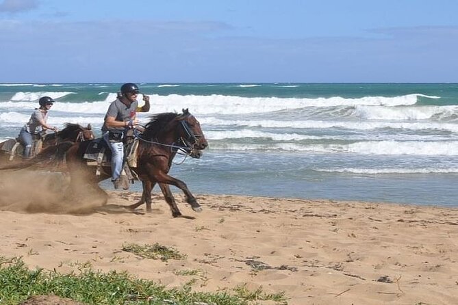 Horseback Riding to Maimon River from Punta Cana - From Hotel Pickup to Mounting the Horse
