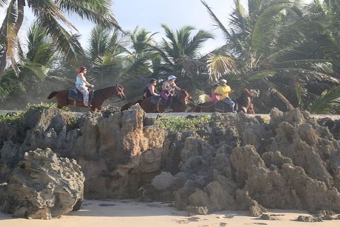 Horseback Riding to Maimon River from Punta Cana - Forest Paths and Ranch Time: The Actual Horseback Part