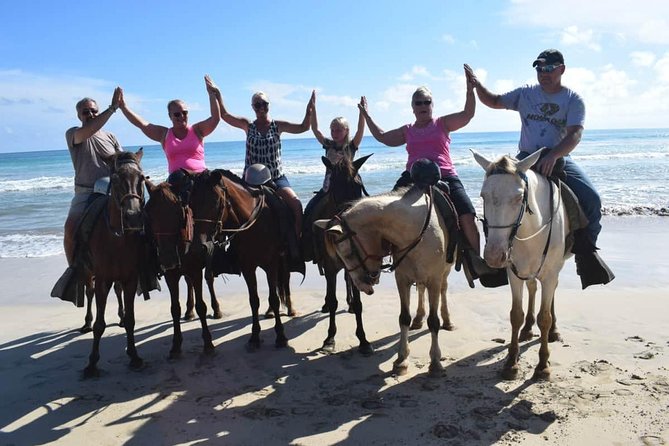 Horseback Riding Tour Adventure on the Beach - Key Points Worth Knowing Before You Book