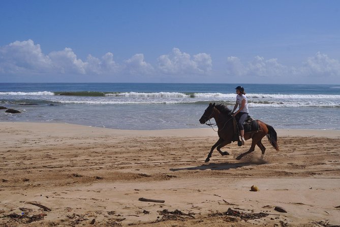 Horseback Riding Tour Adventure on the Beach - Boca de Maimon River Stop: Breathing Room and Real Local Life