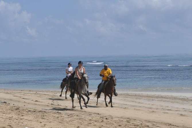 Horseback Riding Tour Adventure on the Beach - Safety, Limits, and Who Should Sit This One Out