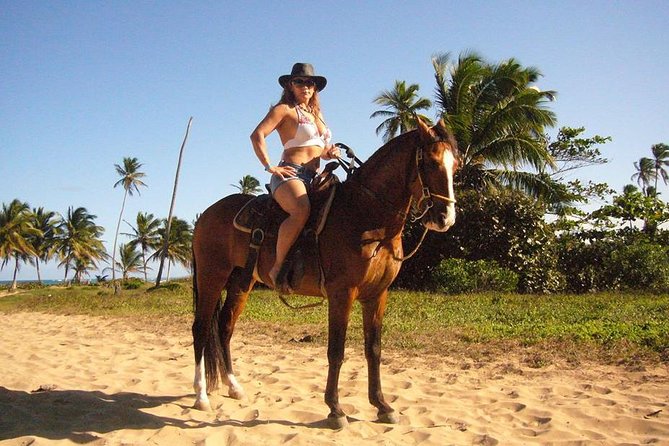 Horseback Riding Tour Adventure on the Beach - Pickup, Timing, and the 4-Hour Reality Check