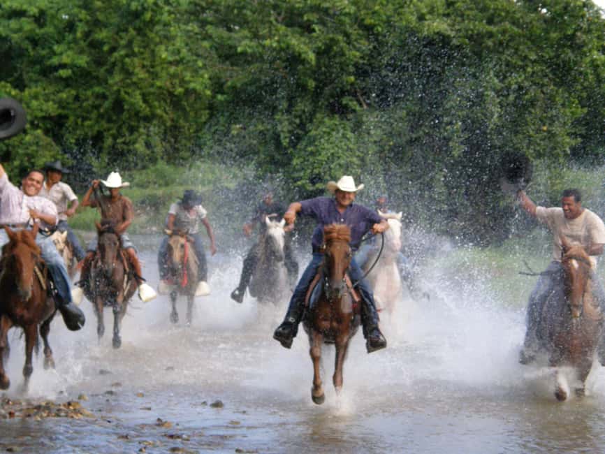 Horseback Riding Tour of Punta Cana - The ride itself: beach views, forest trails, and real photo chances