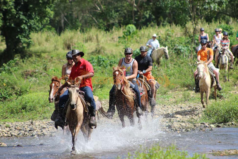 Horseback Riding Tour of Punta Cana - Getting on board: timing, pickup, and the feel of a 1–2 hour tour