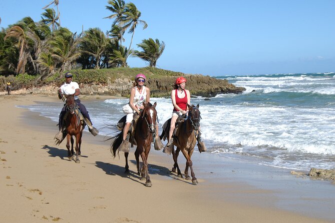 Horseback Riding Tour on the Beaches of Punta Cana - Key Highlights You’ll Care About