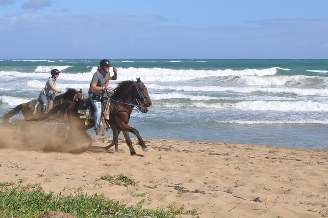 Horseback Riding Tour on the Beaches of Punta Cana - Starting at the Estancia: Where the Experience Begins