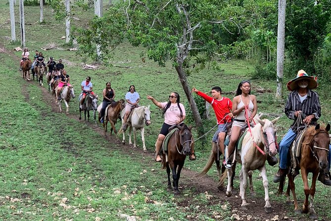 Horseback Riding with Pickup from Punta Cana - Key Things You’ll Notice Right Away