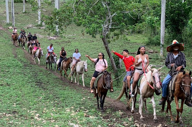 Horseback Riding with Pickup from Punta Cana - Price and Value: Is $65 Worth It?