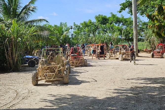 Horses, Buggy, and plantation in Chocaci Ranch - Key Things I’d Prioritize