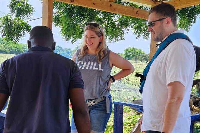 Horses, Buggy, and plantation in Chocaci Ranch - Stop 1 at Rancho Chocaci: The Plantation Tour With Coffee, Cacao, and Tobacco Basics