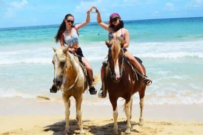 Horses, Buggy, and plantation in Chocaci Ranch - Getting There Smoothly: Pickup and a Simple Two-Hour Plan