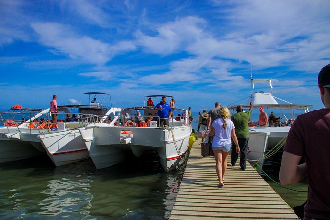 Humpback whales Watching + Samana Eco-Tour - El Salto del Limon plus a quick Samana City stop