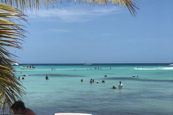 Iberostar Grand Bavaro - Round Trip Shuttle - Punta Cana Airport - Why This Punta Cana Private Shuttle Feels Like the Smart Move