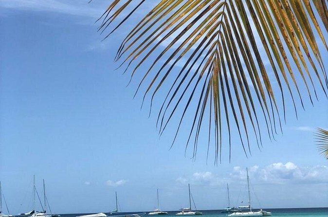 Iberostar Grand Bavaro - Round Trip Shuttle - Punta Cana Airport - The Ride Time: What 25–30 Minutes Means in Punta Cana