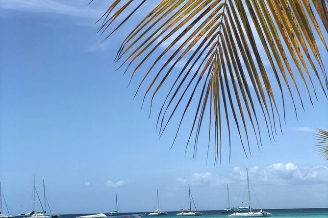Iberostar Grand Bavaro - Round Trip Shuttle - Punta Cana Airport - Round-Trip Convenience: Arriving and Leaving Without Chaos