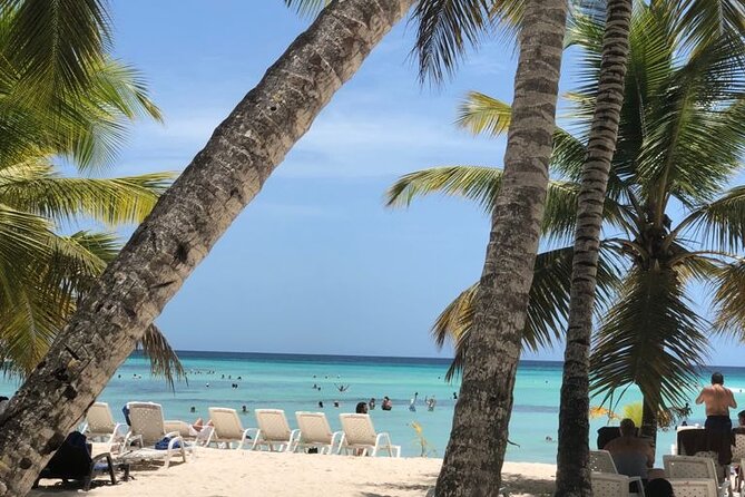 Iberostar Grand Bavaro - Round Trip Shuttle - Punta Cana Airport - Getting Picked Up at Punta Cana Airport Without Guesswork