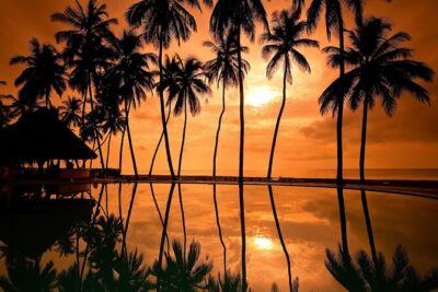 Iberostar Selection Bavaro - Round Trip Shuttle - Punta Cana Airport - The 25–30 minute ride, plus the real-world timing caveat