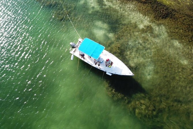 Inshore & Fly Fishing Punta Cana Private charter at Marina Cap Cana - Why Marina Cap Cana is a smart base for inshore and fly fishing