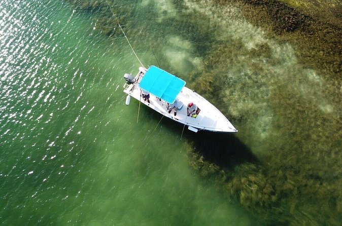 Inshore & Fly Fishing Punta Cana Private charter at Marina Cap Cana - Snorkeling gear is included, but comfort is on you