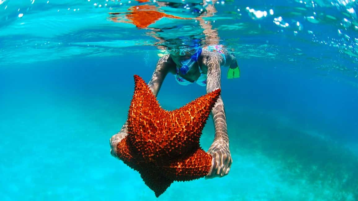 isla saona día completo - Key Takeaways Before You Go