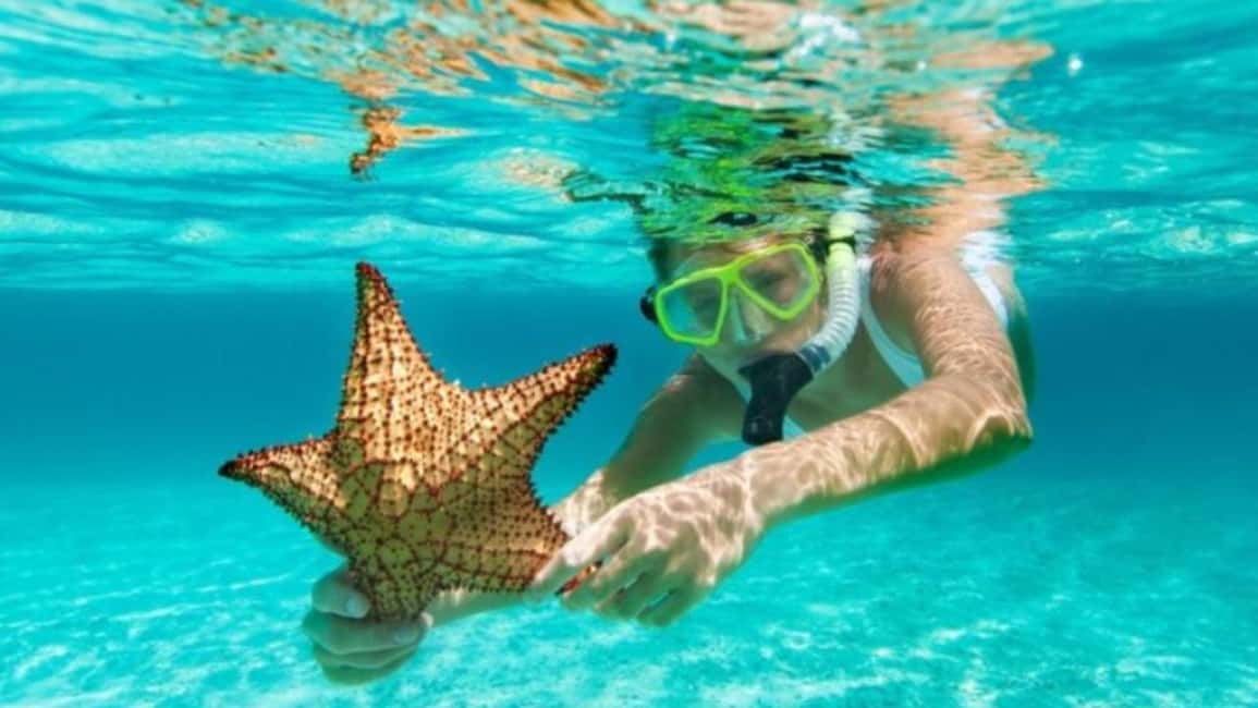 isla saona día completo - Dominican Buffet Lunch and Unlimited Drinks Without the Rush