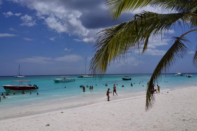 Isla Saona El Paraiso del Caribe - A Fast, Low-Stress Ride to Saona Island