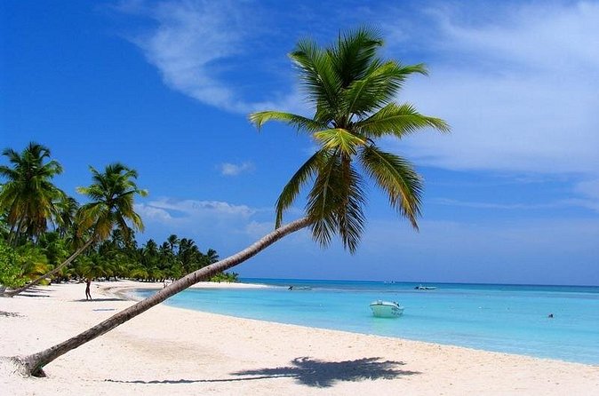 Isla Saona El Paraiso del Caribe - Buffet Lunch and Drinks: Good Value, Manage Expectations