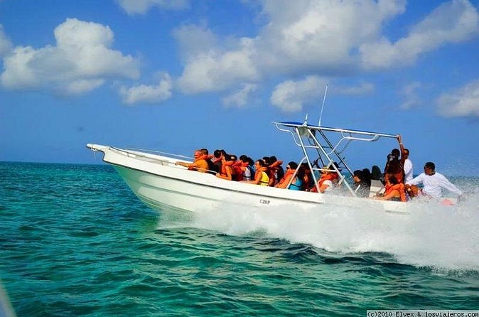 Isla Saona El Paraiso del Caribe - Group Size and Scheduling: Why It Matters for Comfort