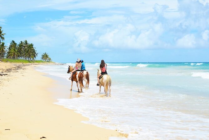 Jungle and Beach Horse Ridding round trip transportatin. - Key Highlights You’ll Actually Care About