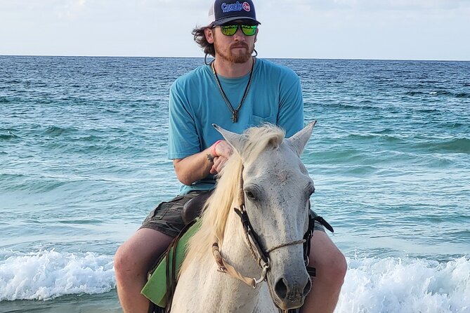 Jungle and Beach Horse Ridding round trip transportatin. - Entering the Saddle: How the “You Can Ride First” Rule Works
