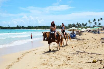 Jungle and Beach Horse Ridding round trip transportatin. - Getting There Comfortably: Pickup, A/C, and a Small Group