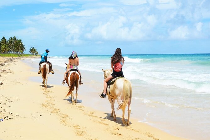 Jungle and Beach Horse Ridding round trip transportatin. - Who Should Book This Horse-and-Beach Tour