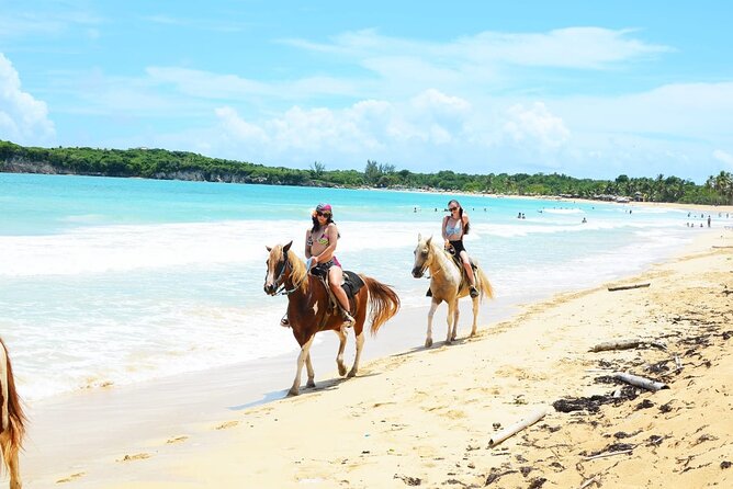 Jungle and Beach Horse Ridding round trip transportatin. - Weather, Timing, and How to Plan Day-of