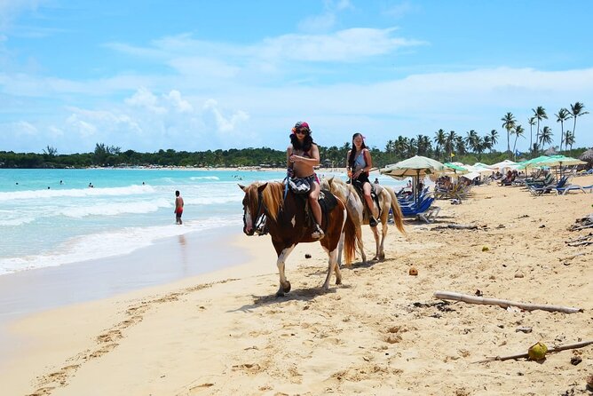 Jungle and Beach Horse Ridding round trip transportatin. - Getting There Comfortably: Pickup, A/C, and a Small Group