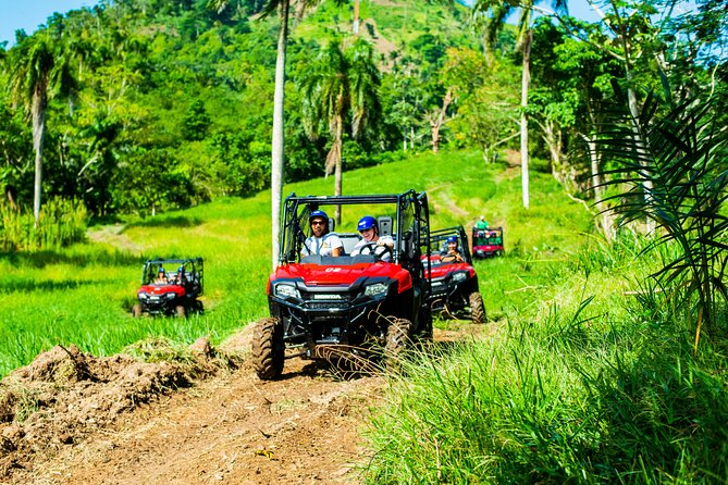 Jungle Buggies + Ziplines Adventures - Key things to know before you go