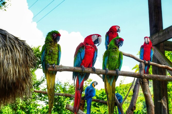 La Hacienda Park Tour - Key highlights you’ll feel right away