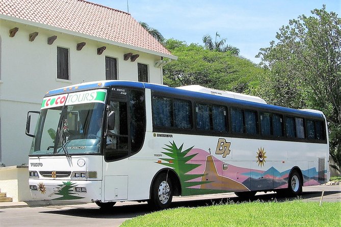 La Romana port transfers (Punta Cana airport to port) - What you get in plain language (and what it means for you)