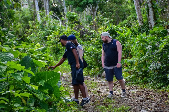 Let's do hiking in Punta Cana - The local farm stop: coffee and chocolate in the Dominican countryside