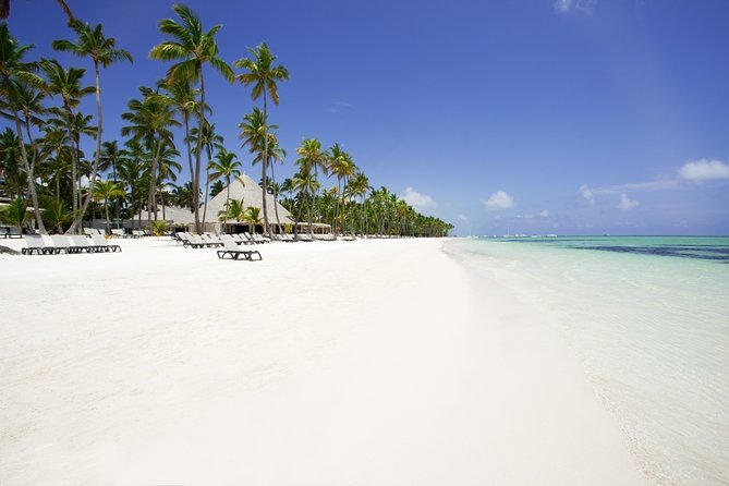 Live Aqua Beach Resort Punta Cana - Round Trip Shuttle - Punta Cana Airport - Key things to know before you go