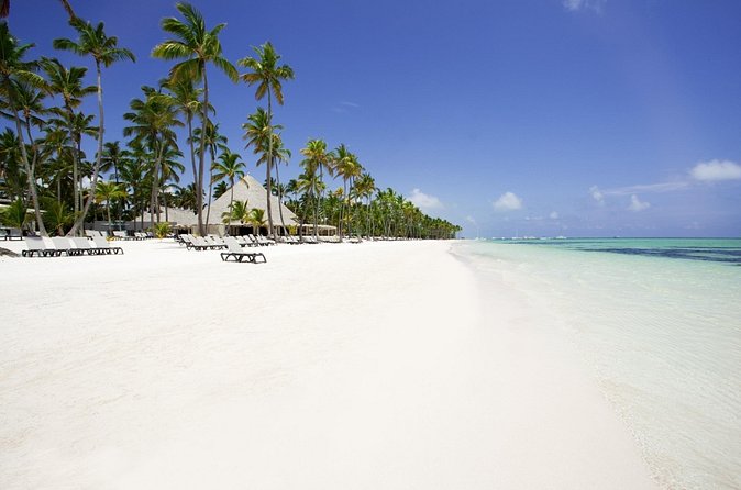 Live Aqua Beach Resort Punta Cana - Round Trip Shuttle - Punta Cana Airport - Return trip: how to avoid the last-day scramble