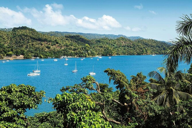 Los Haitises National Park, Montaña Redonda & Bacardi Island - Food, Drinks, and Beach Comfort: Where the Tour Feels Like Good Value