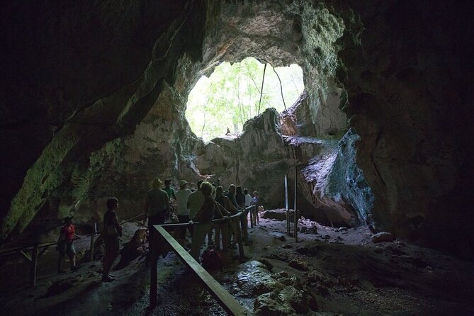LOS HAITISES National Park - Punta cana - Hidden Beaches and Limestone Cliffs: The Park’s Scenic Payoff