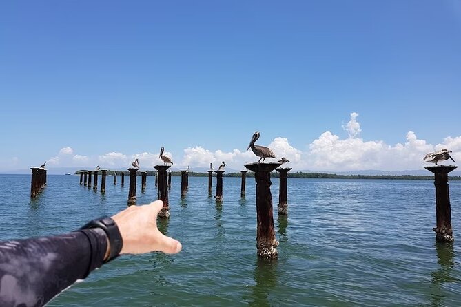 LOS HAITISES National Park - Punta cana - Lunch and Supplies: What You’re Covered For (and What You Must Bring)