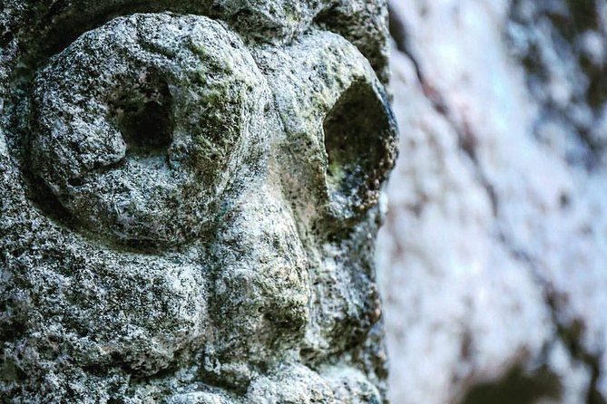 Los Haitises National Park Tour from Punta Cana Montana Redonda and Cano Hondo - What the caves-and-mangroves timing means for your comfort