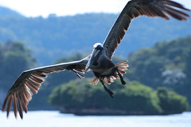 Los Haitises National Park Tour from Punta Cana Montana Redonda and Cano Hondo - Price and what you get for $120 per person