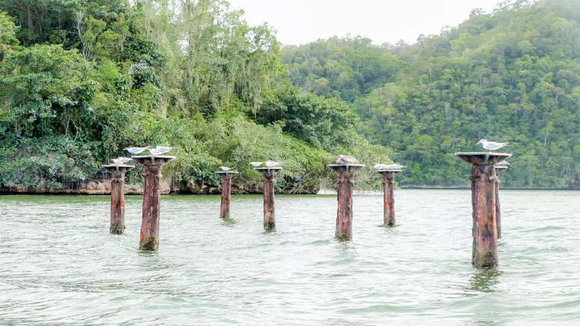 Mangroves, Mogotes and Mountains from Punta Cana - Key highlights at a glance