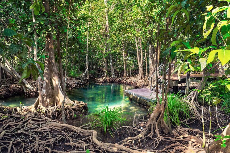 Mangroves, Mogotes and Mountains from Punta Cana - Los Haitises National Park: mogotes, caves, and Taino symbols